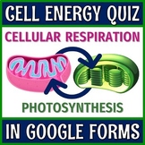Digital GOOGLE FORMS Photosynthesis and Respiration Cell E