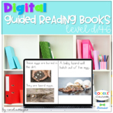 Digital Guided Reading Books Level D Google and Seesaw DIS