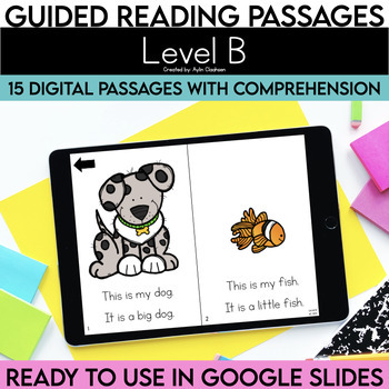 Preview of Level B Digital Resources Guided Reading Passages with Comprehension Questions