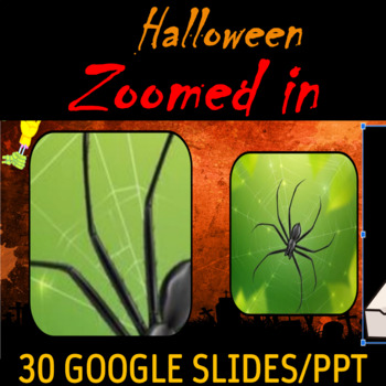 Preview of Digital Halloween Zoomed In Game | Virtual Halloween Party Games & Activities