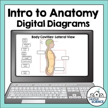 Preview of Digital Human Anatomy and Physiology Diagrams- Body Cavities & Directional Terms