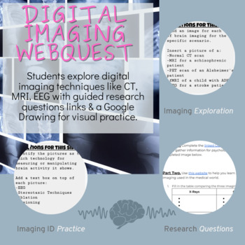 Preview of Digital Imaging (CT, MRI, EEG, etc) Webquest