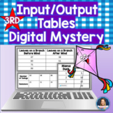 Digital Input/Output Mystery for Third grade