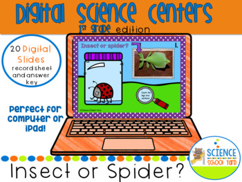 Preview of Digital Insect or Spider Review and Assessment