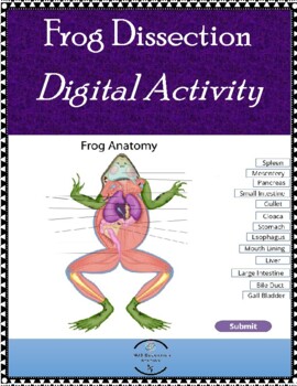 online virtual frog dissection game