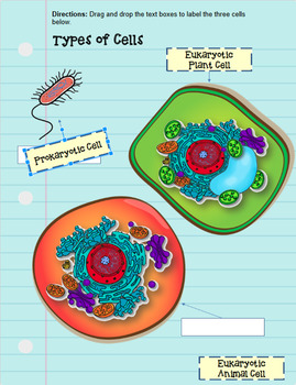 Digital Interactive Cell Organelles Prokaryote Eukaryote Distance Learning