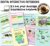 NEW Digital Interactive Notebook Insect Unit and Life Cycl