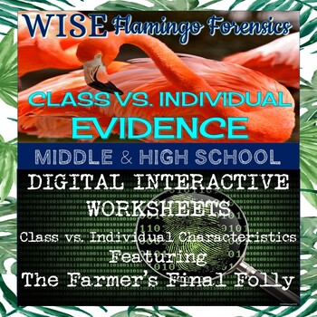 Preview of Class and Individual Evidence DIGITAL INTERACTIVE WORKSHEET and MYSTERY