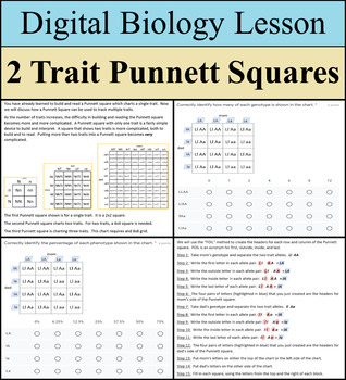 Preview of Digital Learning Activity - 2 Trait Punnett Squares - Distance Learning Ready