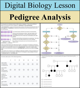 Preview of Digital Learning Activity - Pedigree Analysis - Distance Learning Ready