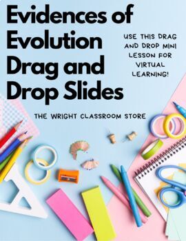 Preview of Digital Learning I Evidences of Evolution Drag and Drop