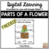 Digital Learning - PARTS OF A FLOWER for Distance Learning