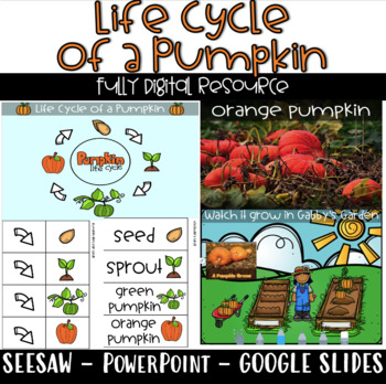 Preview of Digital: Life Cycle of a Pumpkin-Seesaw-Google Slides-PowerPoint
