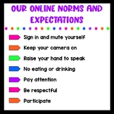 Digital Norms and Expectations Poster