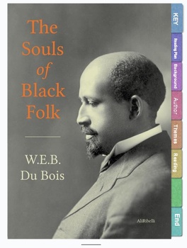 Preview of Digital Notebook: The Souls of Black Folk