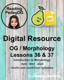 Digital OG Mophology - Lessons 36 and 37