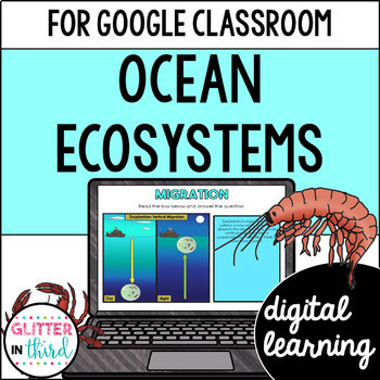 Preview of Ocean Animals, Ecosystem, & Marine Food Chain activities for Google Classroom