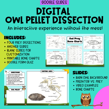 Preview of Digital Owl Pellet Dissection