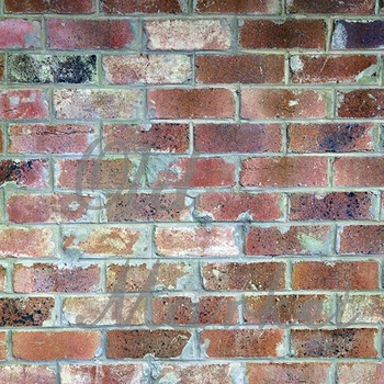 Brick Background Pack