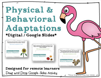 Preview of Digital Physical & Behavioral Adaptations of Plants & Animals for Google Slides