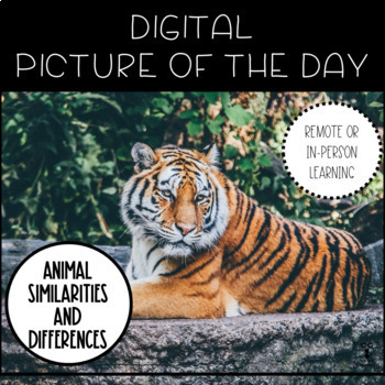Preview of Digital Picture of the Day - Animal Similarities and Differences