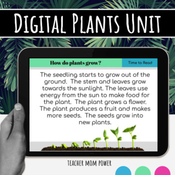 Preview of Digital Plants, Life Cycle of Plants, Parts of a Plant Unit {Google Slides}