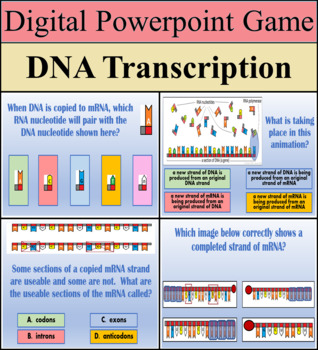 Digital Powerpoint Game - Biology - DNA Transcription - Distance Learning  Ready