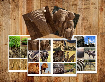 Preview of Digital Printable Montessori Go Togethers - Safari Animals