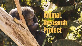 Preview of Digital Project Based Learning: Animal Research Reports