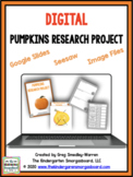 Digital Pumpkins Research Project