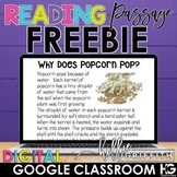 Digital Reading Passage FREEBIE for Google Classroom | Dis