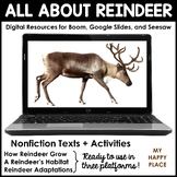 Digital Reindeer Activities - Boom, Seesaw, & Google Slide