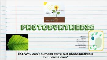 Preview of Digital Science Interactive Notebook- PHOTOSYNTHESIS Notes template