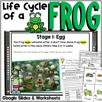 Preview of Frog Life Cycle Mini-Unit | Worksheets & Google Slides | Life Cycle of a Frog
