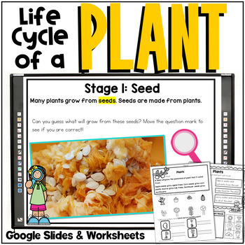 Preview of Life Cycle of a Plant | Worksheets and Google Slides for Plant Life Cycle