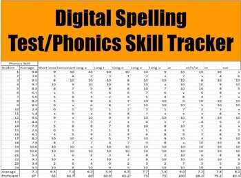 Preview of Digital Spelling Test/Phonics Skill Tracker: Excel Spreadsheet