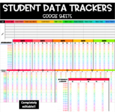 Digital Student Data Tracking Sheet