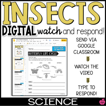 Preview of Insects | Digital Science | Watch and Respond