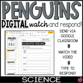 Penguin | Digital Science | Watch and Respond