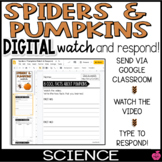 Pumpkins and Spiders | Digital Science | Watch and Respond