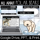 Digital and Printable Polar Bears Nonfiction Activities