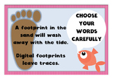 Digital citizenship / internet safety display posters