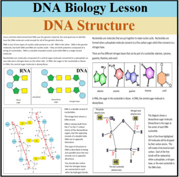 Preview of Digital Biology Lesson - DNA Structure - Distance Learning