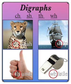 Preview of Digraph Chart