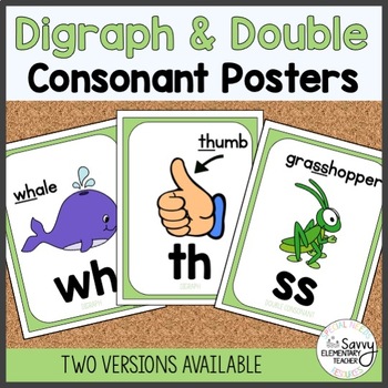 Preview of Digraph & Double Consonant Posters | tch ck wh ng ch sh qu th dd ff ll ss gg ph