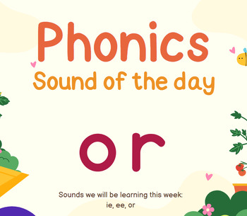 Preview of Digraph or Lesson: Sound Focus /or/ Phonics PowerPoint