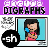Ending Digraphs SH Phonics Printables for Kindergarten and