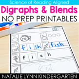 Digraphs and Blends Worksheets | Word Mapping