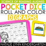 Digraphs and Double Consonants Literacy Centers Pocket Dic