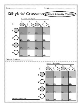 Preview of Dihybrid Cross Gamete Charts Dyslexia Blank Di-Hybrid 9:3:3:1 Cross